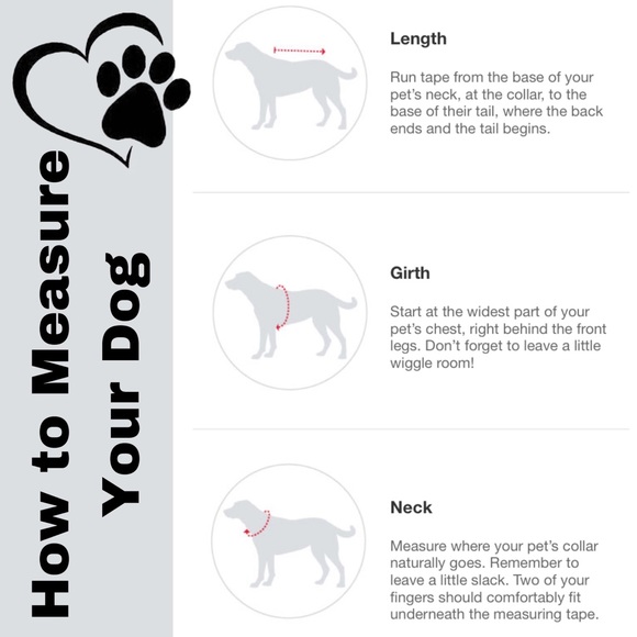 OLD NAVY ST. PADDY’S DAY DOG TEE & HAT *DOG OR CAT HALLOWEEN COSTUME *PINK - Picture 9 of 16